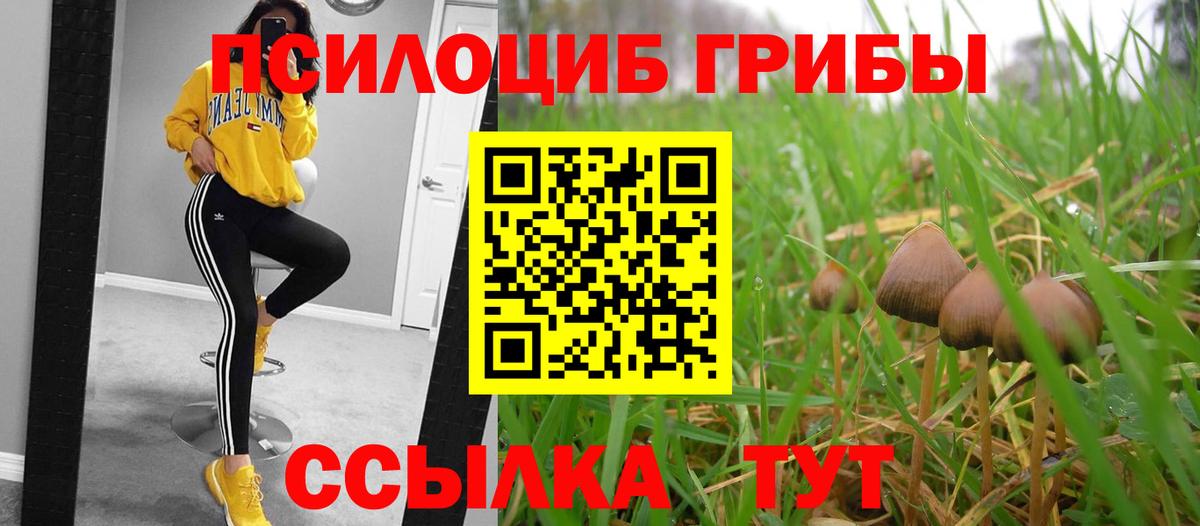 Галлюциногенные грибы Magic Shrooms Усинск